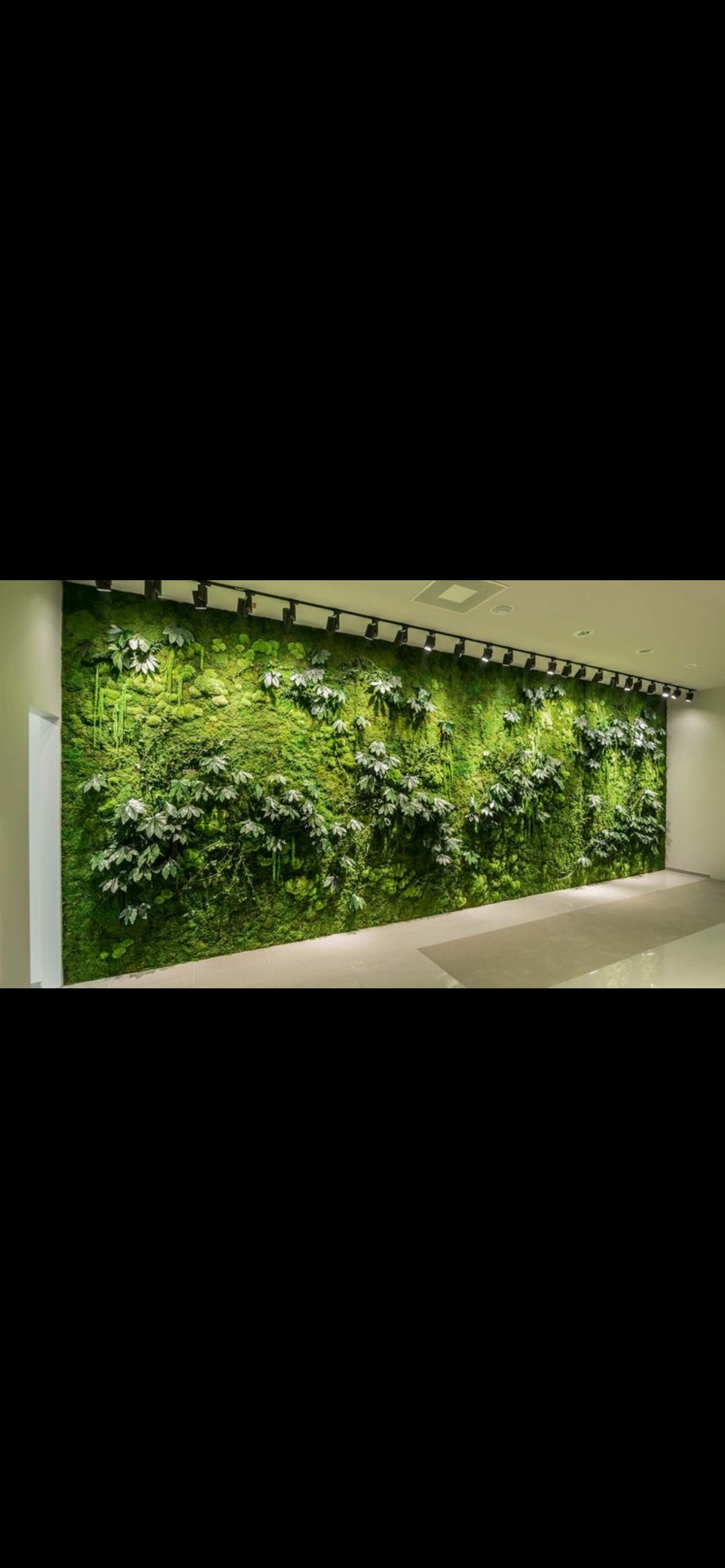 Murs végétaux